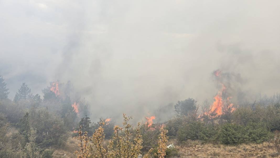Konya Derbent’te orman yangını çıktı 15
